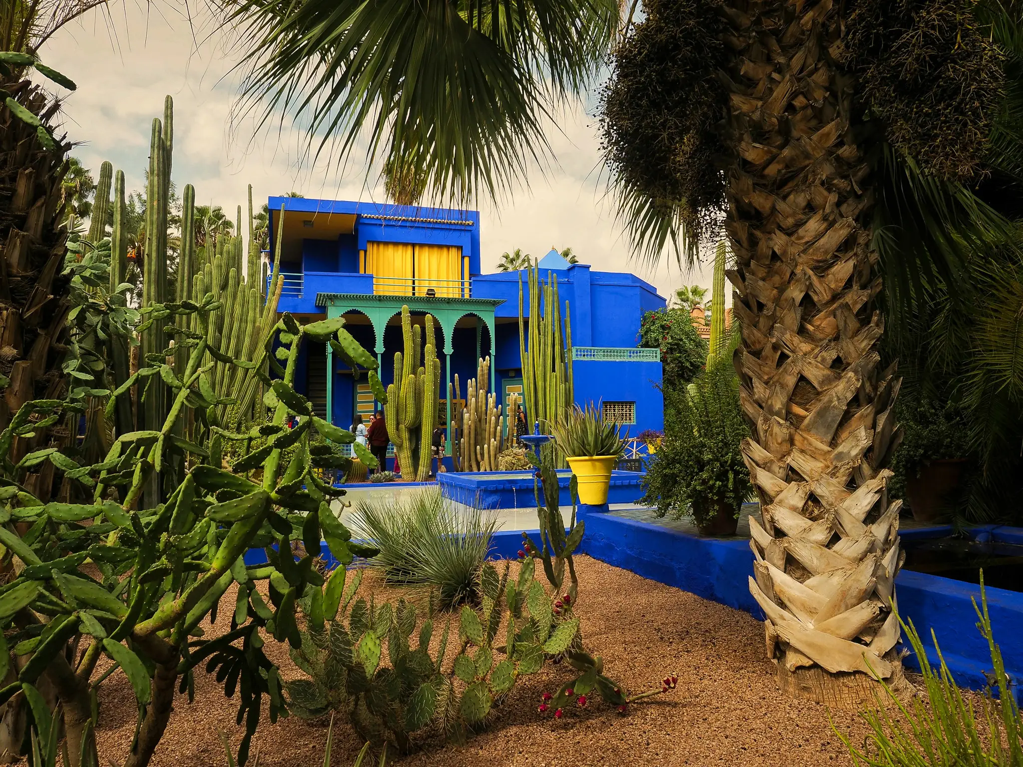 Jardin Majorelle, villa bleue et cactus autour d’un bassin - Marrakech